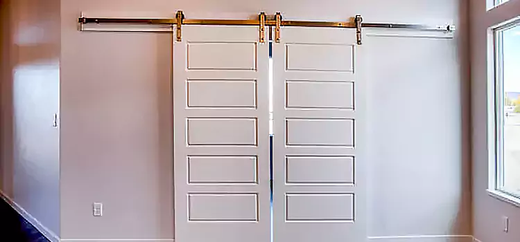 Glass Barn Door with Installation Hardware Kit Kenner