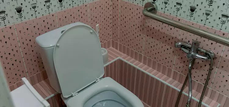 Meeting Diverse Needs With Accessible Restroom Solutions in Kenner, LA